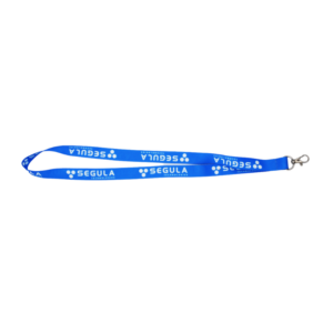Lot de 10 lanyards en polyester recyclé